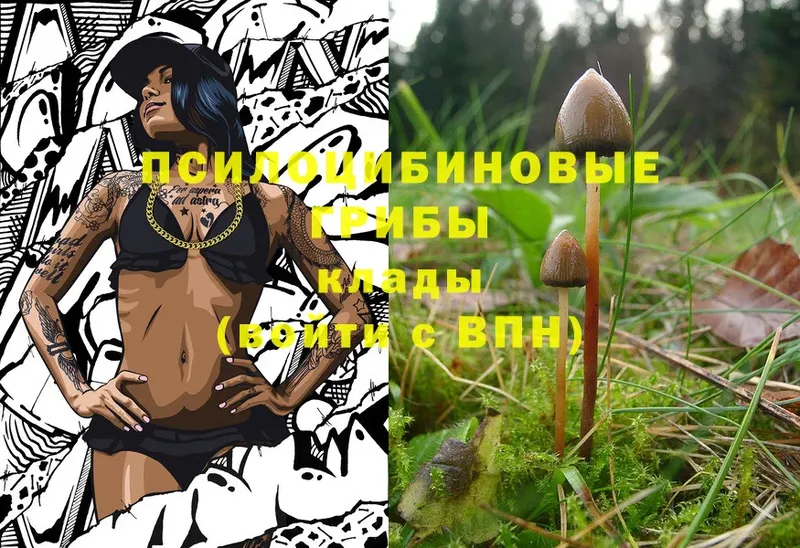 hydra tor  Мензелинск  Псилоцибиновые грибы Cubensis  наркотики 